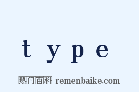 type是什么意思的图片